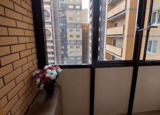 Сдам в аренду однокомнатную квартиру, 40 м2, Санкт-Петербург, улица Шкапина, 9-11