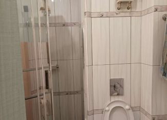 Аренда квартиры студии, 25 м2, Мурино, Петровский бульвар, 14к5, ЖК Краски Лета