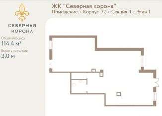 Продажа помещения свободного назначения, 114.4 м2, Санкт-Петербург, муниципальный округ Чкаловское
