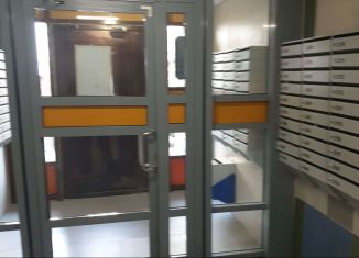 Сдам квартиру студию, 24 м2, поселок Бугры, Тихая улица, 1, ЖК Новые Горизонты