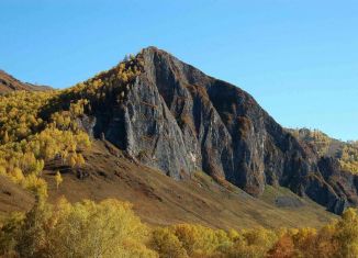 Продажа земельного участка, 300 сот., село Барлак