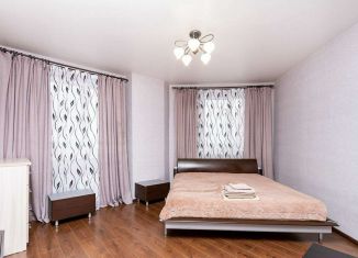 Сдается в аренду однокомнатная квартира, 40 м2, Новосибирск, улица Дмитрия Шамшурина, 1, метро Красный проспект