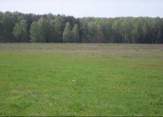 Продаю земельный участок, 426 сот., деревня Шалангуш