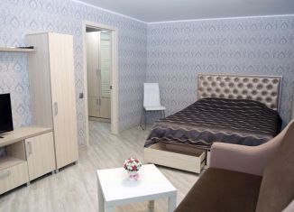 1-комнатная квартира в аренду, 34 м2, Ростовская область, Пушкинская улица, 130