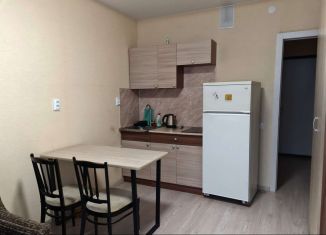 Сдача в аренду квартиры студии, 24 м2, Мурино, Ручьёвский проспект, 2, ЖК Авиатор