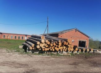 Продам производство, 600 м2, Малмыж