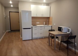 Квартира в аренду студия, 26 м2, Мурино, улица Шувалова, 22к1, ЖК Витамин