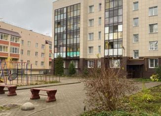 Продам 1-ком. квартиру, 45 м2, Шлиссельбург, улица Малоневский Канал, 11А