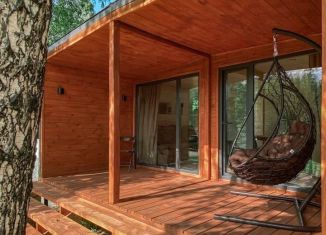 Продам дом, 45 м2, поселок Новая Ельня, Полевая улица