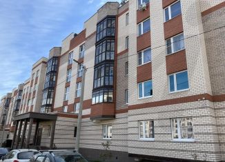 Двухкомнатная квартира на продажу, 55 м2, село Бисерово, микрорайон Новое Бисерово-2, 17