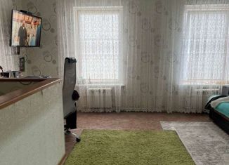 Продается 1-комнатная квартира, 59.5 м2, Елабуга, Московская улица