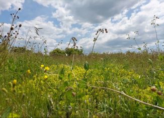 Продажа земельного участка, 1350 сот., Верхореченское сельское поселение