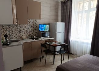 Сдается квартира студия, 20 м2, Санкт-Петербург, Гаванская улица, 49к1, муниципальный округ Гавань