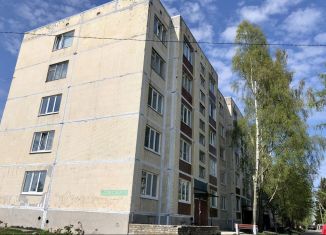 Продается двухкомнатная квартира, 56.2 м2, поселок Запорожское, Советская улица, 13