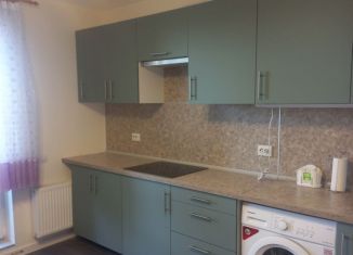 Сдаю однокомнатную квартиру, 45 м2, поселок Бугры, Гаражный проезд, 27к1, ЖК Новые Горизонты