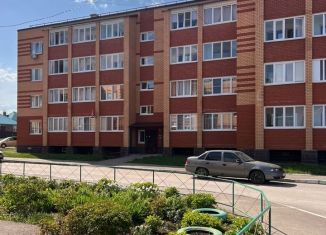 Квартира на продажу студия, 31.2 м2, село Дмитриевка, Яблоневая улица, 32