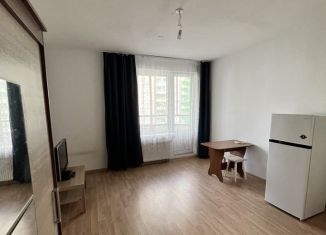 Сдаю в аренду квартиру студию, 26 м2, Мурино, Воронцовский бульвар, 12, ЖК Гринландия