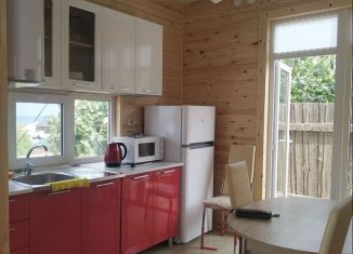 Аренда коттеджа, 43 м2, поселок при станции Инчхе