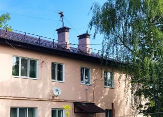 Продажа 1-ком. квартиры, 27 м2, Орёл, улица Шульгина, Железнодорожный район