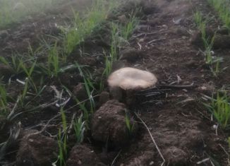 Продаю участок, 10 сот., Новосельское сельское поселение