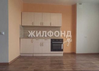 Продам 1-комнатную квартиру, 30.1 м2, Новосибирская область, Большая улица, 37