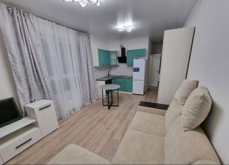 Квартира в аренду студия, 27 м2, Люберцы, улица Камова, 1к1, ЖК Люберцы 2020