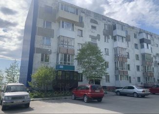 Сдается 3-ком. квартира, 66.7 м2, Петропавловск-Камчатский, улица Арсеньева, 39, микрорайон Моховая