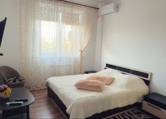 Аренда 1-комнатной квартиры, 41 м2, Ставропольский край, Кисловодская улица, 33