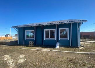 Продам дом, 80 м2, деревня Азьмушкино, улица Л. Васильева