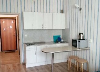 Продается квартира студия, 25 м2, Мурино, Охтинская аллея, 14, ЖК Мой Город