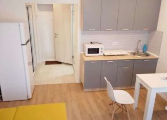 Сдается в аренду квартира студия, 22 м2, Люберцы, улица Лётчика Ларюшина, 4, ЖК Жулебино Парк