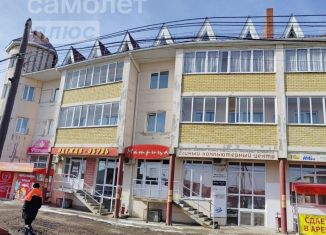 Продажа 3-комнатной квартиры, 166 м2, поселок городского типа Арти, улица Рабочей Молодёжи, 94