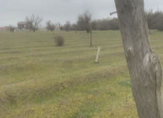 Продается земельный участок, 10 сот., село Новомонастырское