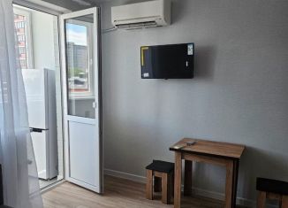 Квартира в аренду студия, 24.4 м2, Краснодар, улица Ивана Беличенко, 103
