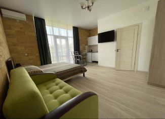 Сдаю в аренду квартиру студию, 25 м2, Крым, Севастопольская улица, 7