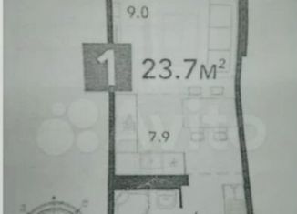 Продается квартира студия, 23.7 м2, село Засечное, Фонтанная улица, с70
