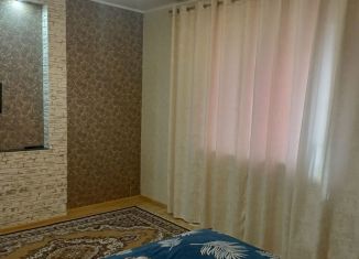 Сдача в аренду 1-комнатной квартиры, 38 м2, Новосибирск, Первомайская улица, 226