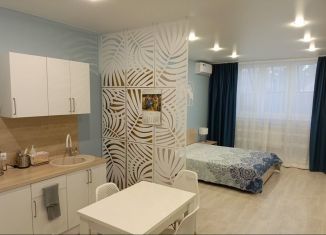 Квартира в аренду студия, 38 м2, Геленджик, Советская улица, 77