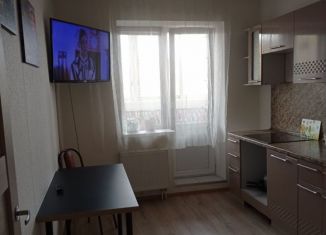 Аренда 1-комнатной квартиры, 31 м2, Ленинградская область, Голландская улица, 10к2