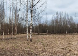 Продается земельный участок, 10.8 сот., деревня Нова, Грибная улица