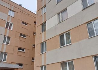 Продается двухкомнатная квартира, 40.2 м2, поселок городского типа Камские Поляны, 2-й микрорайон, 30