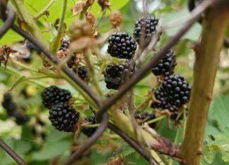 Земельный участок на продажу, 8 сот., посёлок станции Бронницы