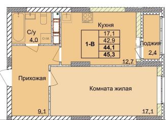 Продается 1-ком. квартира, 44.1 м2, Нижегородская область, площадь Минина и Пожарского