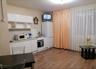 Квартира в аренду студия, 30 м2, Челябинская область, улица Наркома Малышева, 3