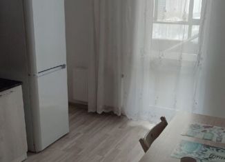 Сдается 1-комнатная квартира, 40 м2, Екатеринбург, улица Раевского, 18А