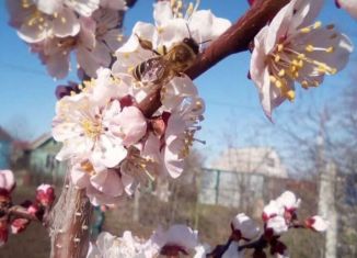 Продается дача, 20 м2, СДТ Прогресс, 9-я улица