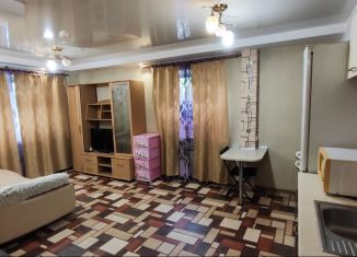 Продается 1-комнатная квартира, 33 м2, Новосибирск, метро Гагаринская, Северная улица, 27