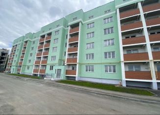 Продается однокомнатная квартира, 43.1 м2, посёлок городского типа Петра Дубрава, улица Строителей, 5, ЖК Земляничный