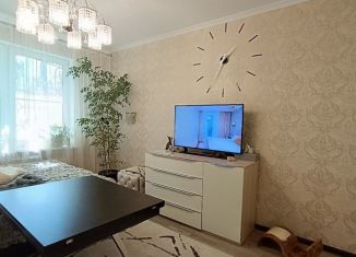 Продается однокомнатная квартира, 28 м2, Московская область, микрорайон Центральный, 24