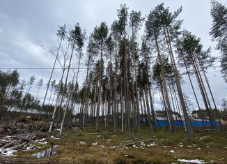 Продам участок, 10 сот., посёлок городского типа Краснозатонский, Линейная улица